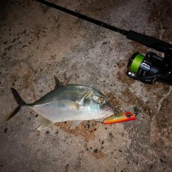台風明けやっと釣れました