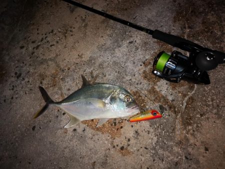 台風明けやっと釣れました