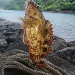 台風前に穴釣り