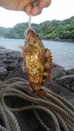 台風前に穴釣り