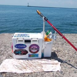 ２日続け好釣果でした