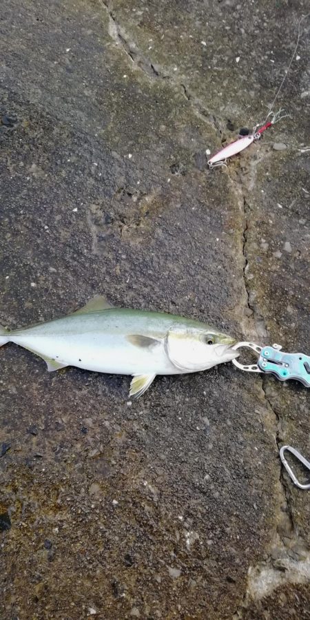 台風後のショアジギ