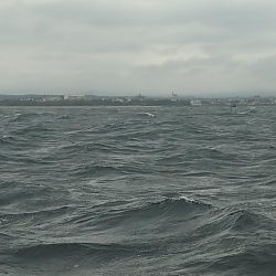 シーズン終盤の船タコ釣り