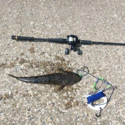 マゴチ＆エギング