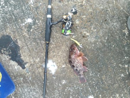 オンスタックルさんのイベントに参加