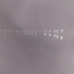 ナイトエギング