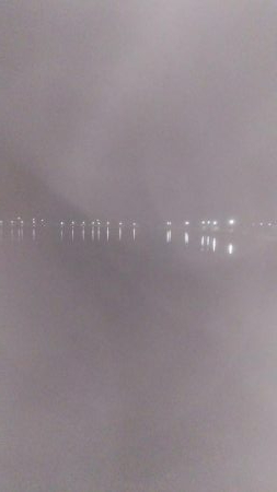 ナイトエギング