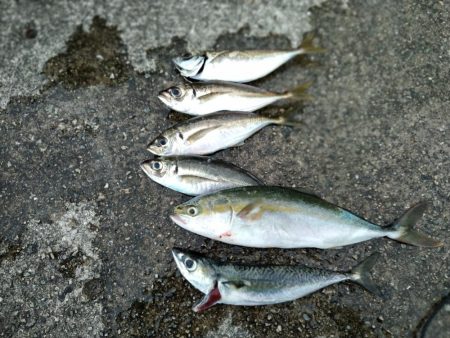 武庫川一文字で遊んできました☆