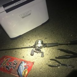 アジが食べたくなり仕事帰りの釣行♬