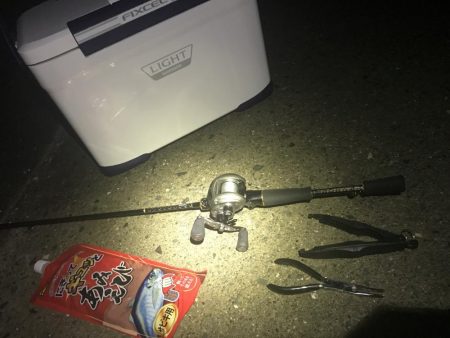 アジが食べたくなり仕事帰りの釣行♬