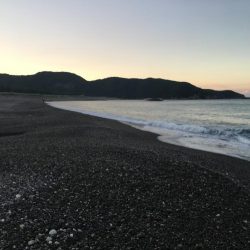 シマアジ大漁46匹