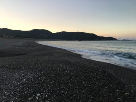 シマアジ大漁46匹