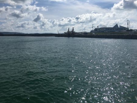 ツバス、メッキのみ