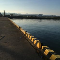 アイゴ、ボラ、メバルほか