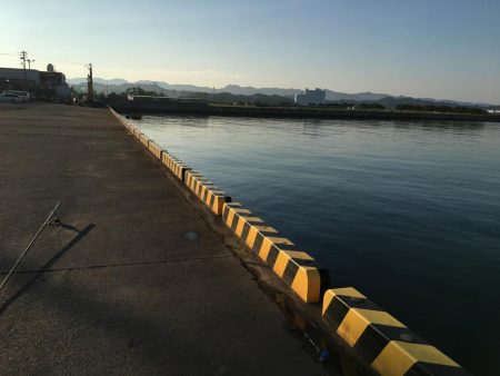 アイゴ、ボラ、メバルほか