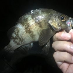 何となく淡路島へ