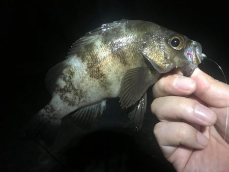 何となく淡路島へ