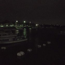 強風の中のエギング