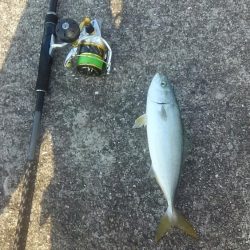 潮が少し動き出したタイミングで