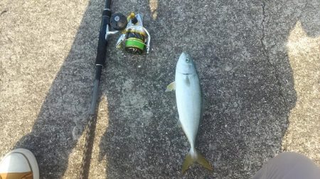 潮が少し動き出したタイミングで