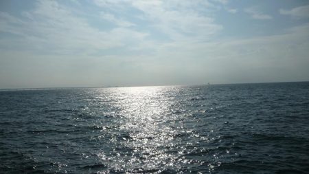 もう少しでブリ!!