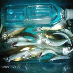 ファミリーで少し釣行