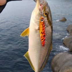 ショアジギ3目釣り