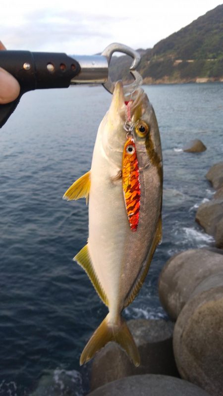 ショアジギ3目釣り