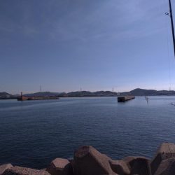 灘浜　青物調査