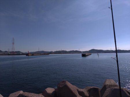 灘浜　青物調査