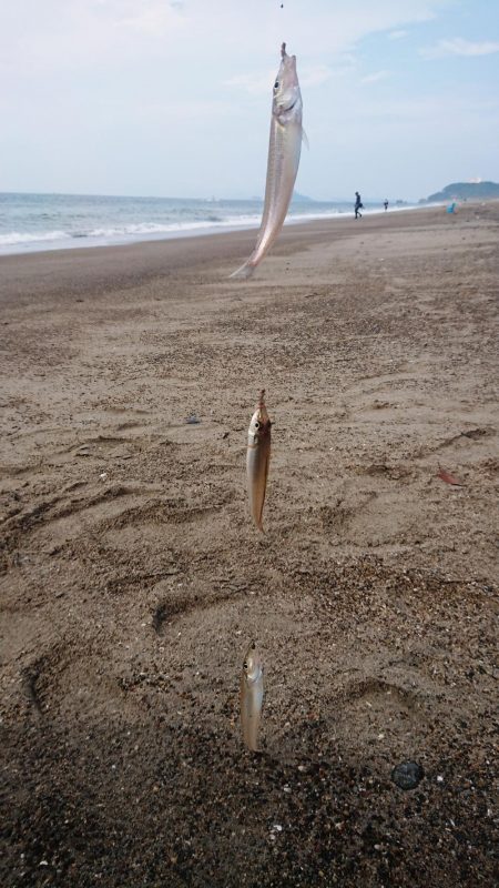 キス復活の兆し