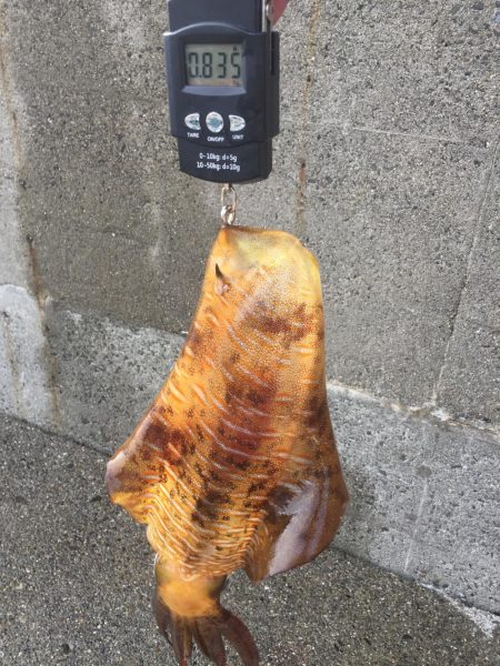 ゴミは持ち帰りましょう