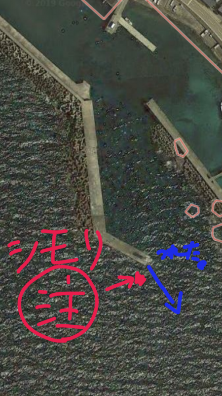 たまたまなのか？