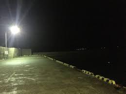 ショア　シロイカ　一杯