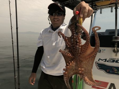 Magic(マジック) 釣果