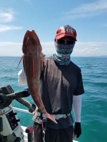 遊漁船 ニライカナイ 釣果