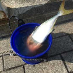 ひさびさのツバス