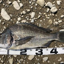 イチノ兄弟、釣果！