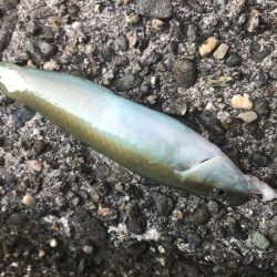 グランドスラム達成