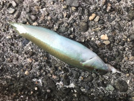 グランドスラム達成