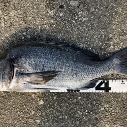 イチノ兄弟、釣果！！