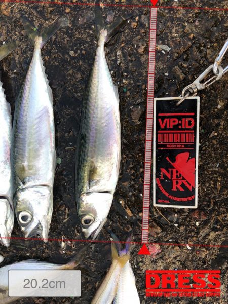 強制日光浴野郎