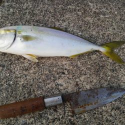 いざ、サーベル狩りへ