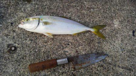 いざ、サーベル狩りへ