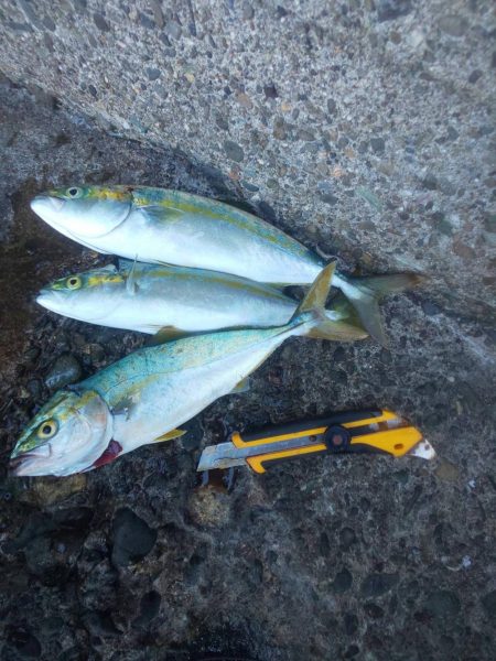 新ロッド粘り勝ち