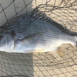 お盆休み最終日