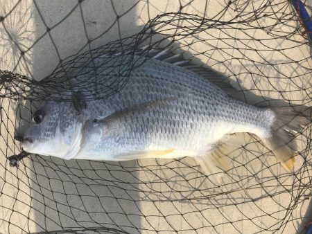 お盆休み最終日