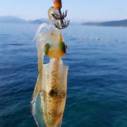 やっと楽しみな秋始まりです❗