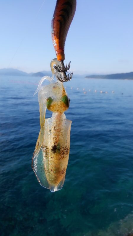 やっと楽しみな秋始まりです❗