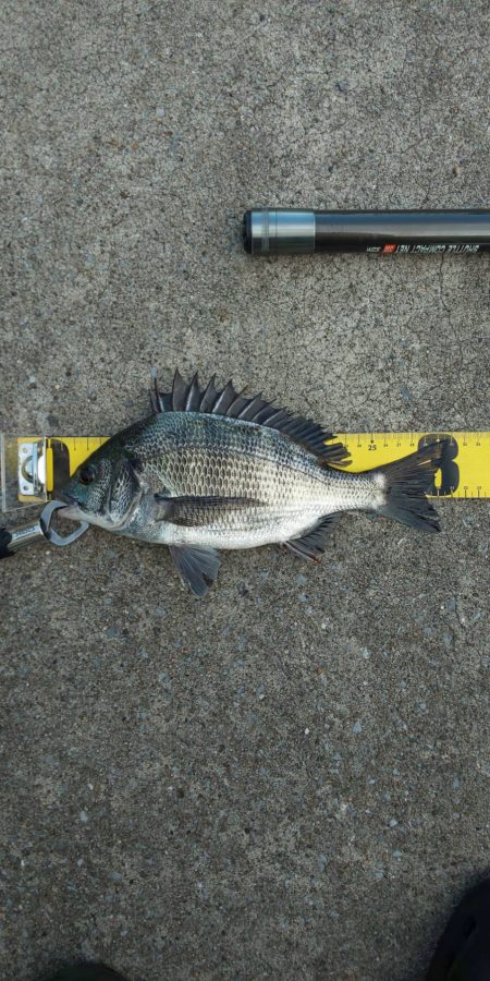 お盆前に　～さざなみ公園～